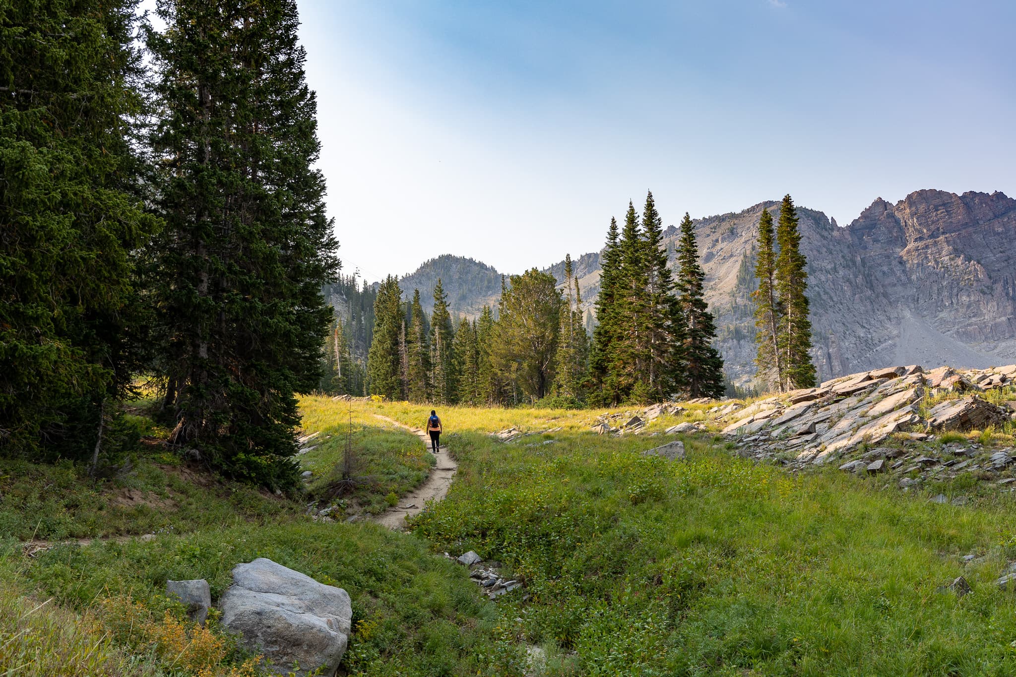 A person walking on a narrow path through a lush green meadow, surrounded by tall trees and mountains in the background under a clear blue sky