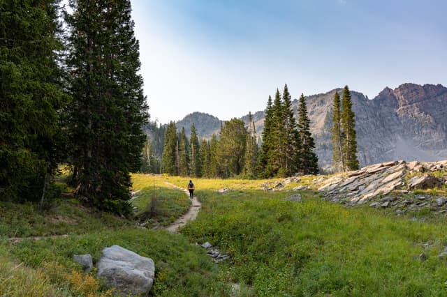 A person walking on a narrow path through a lush green meadow, surrounded by tall trees and mountains in the background under a clear blue sky