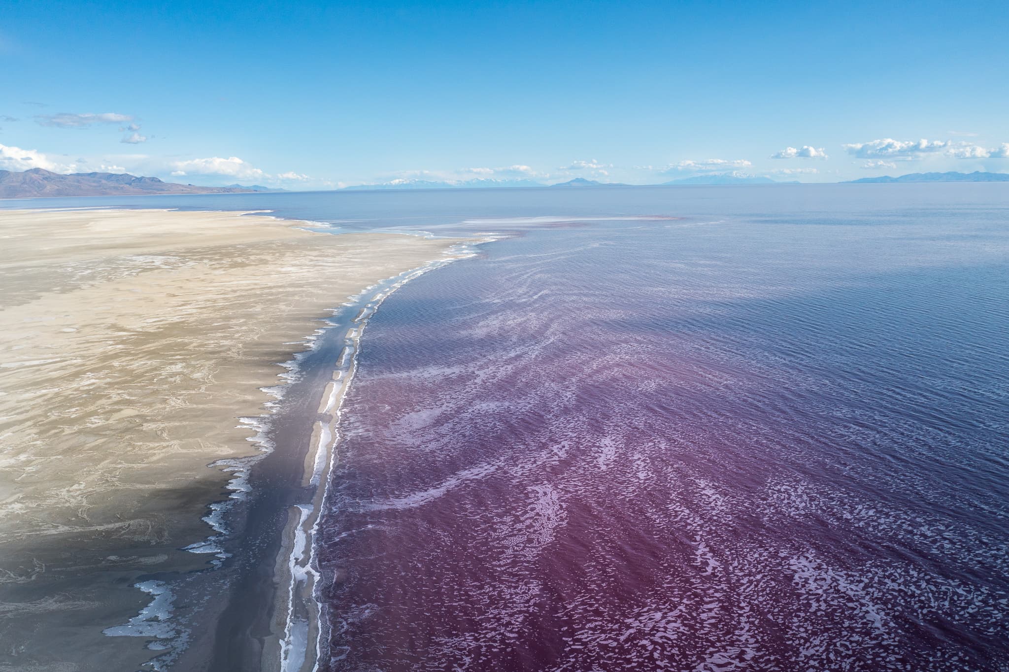 Aerial view of a coastline with a strikingly pink-hued body of water, adjacent to a sandy beach and under a clear blue sky