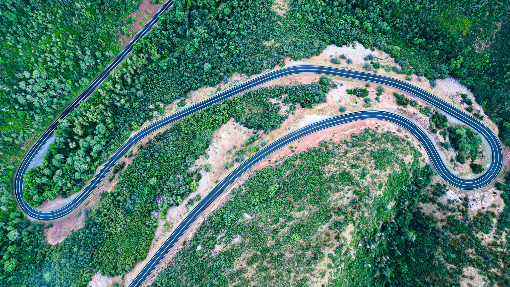 A winding road curves through a lush, green landscape with dense vegetation and patches of exposed earth