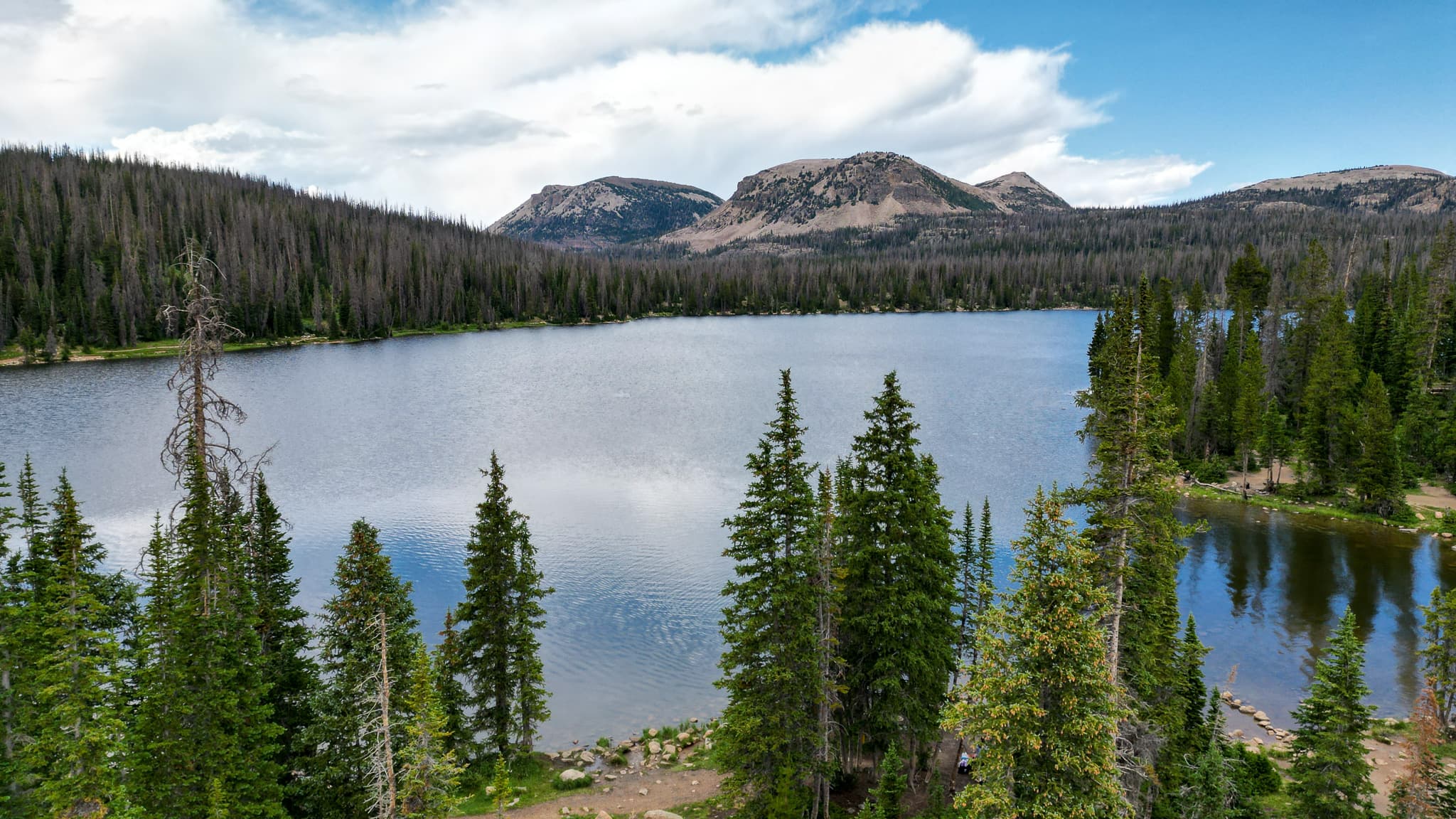 A serene lake surrounded by dense evergreen trees, with mountains in the background under a partly cloudy sky
