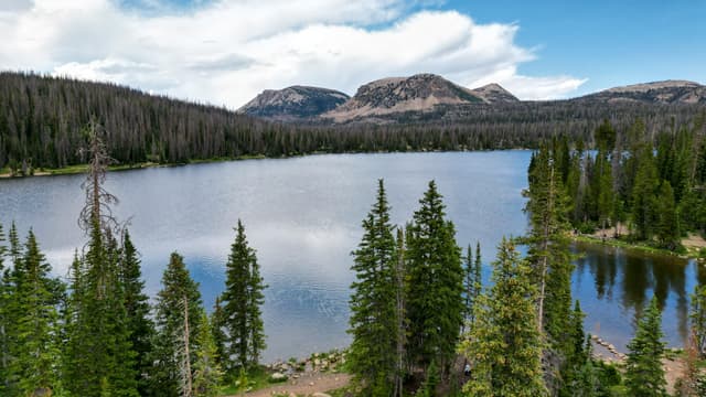 A serene lake surrounded by dense evergreen trees, with mountains in the background under a partly cloudy sky