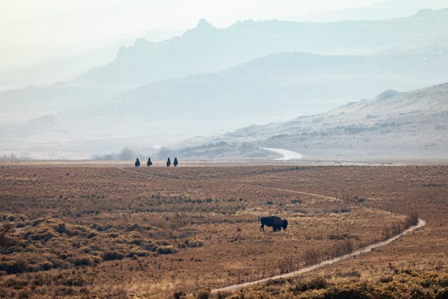 A vast, open landscape with a single bison grazing in the foreground and a group of people on horseback in the distance, set against a backdrop of rolling hills and mountains under a hazy sky