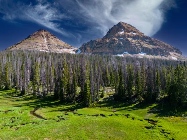 Two towering mountains with rugged peaks rise above a dense forest of evergreen trees, with a lush green meadow and a winding stream in the foreground under a clear blue sky with wispy clouds