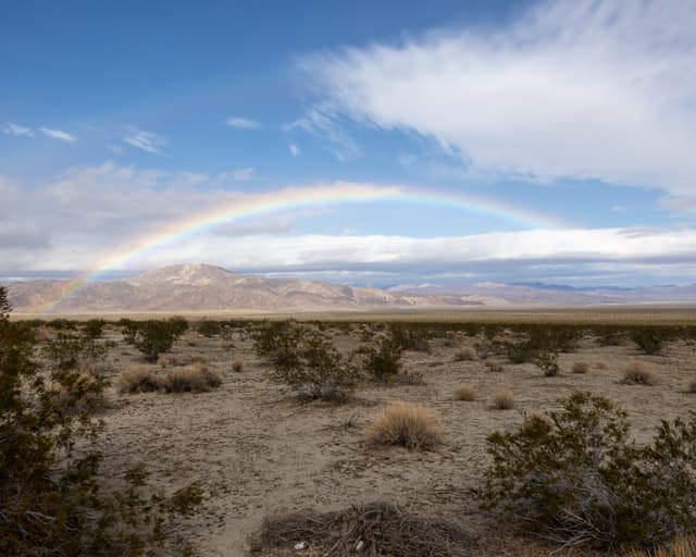 A desert landscape with sparse vegetation under a partly cloudy sky, featuring a prominent rainbow arching across the horizon